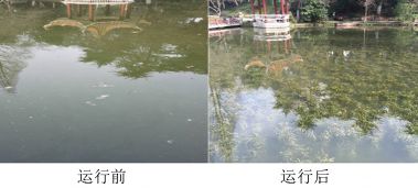 合肥某賓館賓館10000㎡的景觀水域